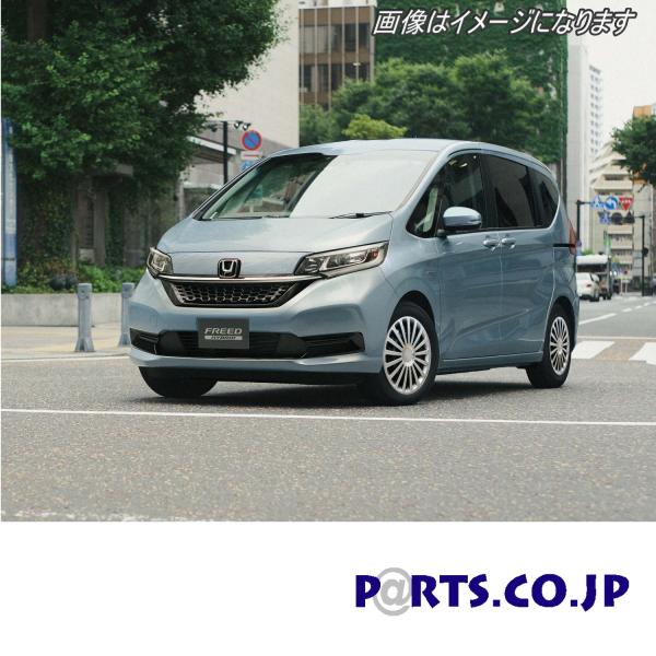 zC[Jo[ 41Zbg RADICAL 15C` PRO z_ t[h DBA-GB5 FHG F+HG