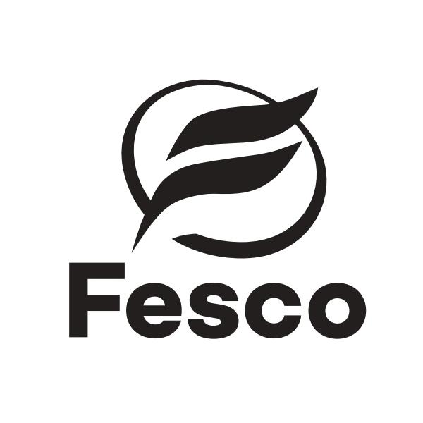 他サイト： FESCO 長さ600mm×ゴム幅8mm グラファイトワイパー 替えゴム 10本セット PR-60 自動車の商品画像