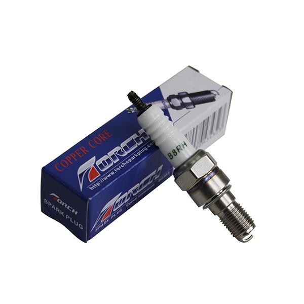 メーカー品番：B8RHタイプ：ネジ形単位：1本