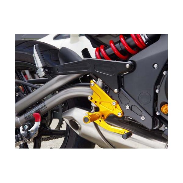 BABYFACE(ベビーフェイス) タンデムブラケット/SLV Ninja650 ER6f 002