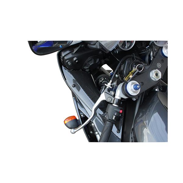 SPEEDRA インナーサイドパネル 左右セット ドライカーボン 綾織り/艶