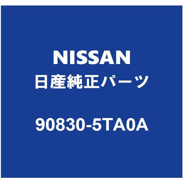 日産（NISSAN） NISSAN日産純正 セレナ バックドアパネルウエザ