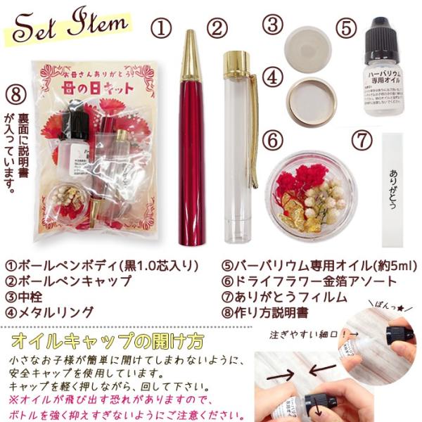 ハーバリウム ボールペン (27) 作成キット 母の日 ver ハーバリウム
