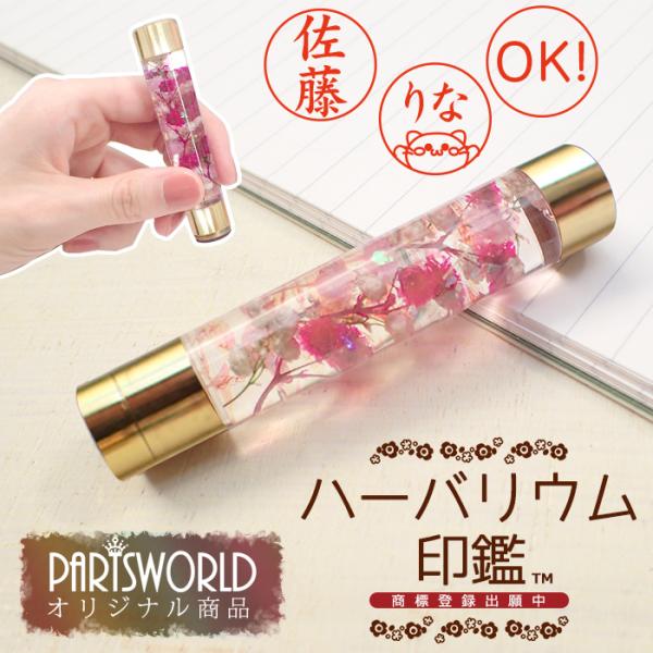 n[oE  (1) i 󑊑 V`n^ n[oE v[g a ̓ [֑ md ̓ o^C 蕨 