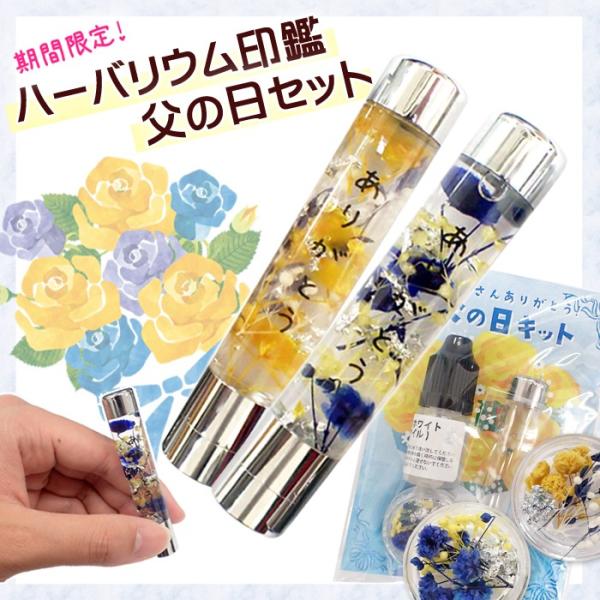 ̓ n[oE  ̓Lbg (15) 󑊑 ̓ Mtg nhCh [֑ md a 蕨 o^C 