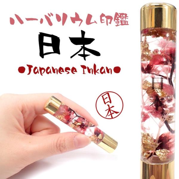 n[oE  (7) { i V`n^ n[oE v[g a ̓ [֑ md ̓ Mtg 蕨 o^C 