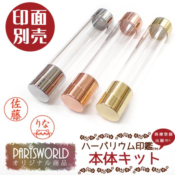 ʕʔ n[oE  (02) {̂̂ V`n^ ͂ n[oE v[g a ̓ o^C [֑ md 