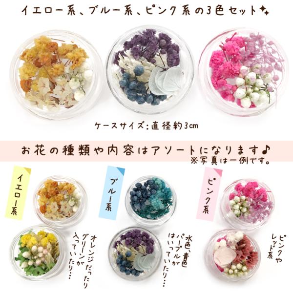 ドライフラワー (27) 3色ケースセット 花材 ブーケ レジン ドライフラワー (27) 3色ケースセット 花材 ブーケ レジン