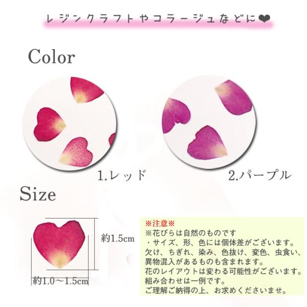 デコパーツ 31 押し花 ローズペタル 花 ドライフラワー 薔薇 バラ 赤 レッド ピンク 紫 ハンドメイド 手芸 Buyee Buyee Japanese Proxy Service Buy From Japan Bot Online