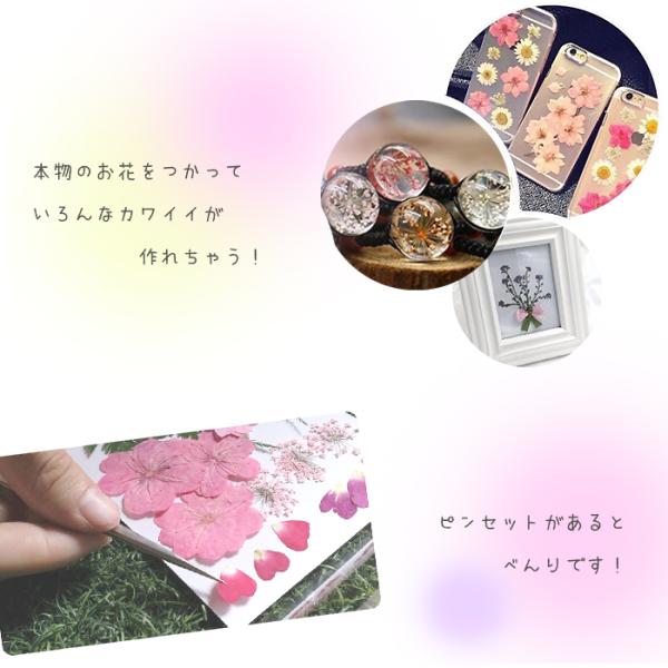 03花材詰め合わせ　プリザーブド　ドライ　ハーバリウムレジン ドライフラワー (27) 3色ケースセット 花材 ブーケ レジン