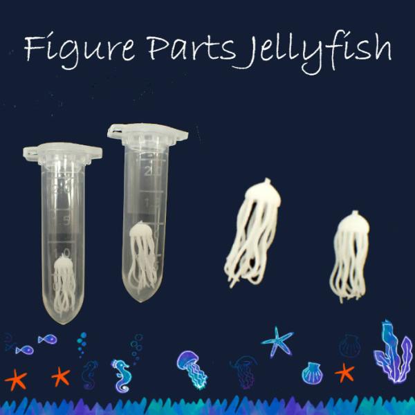 tBMAp[c (8) NQ召 1 NQ    ċx 