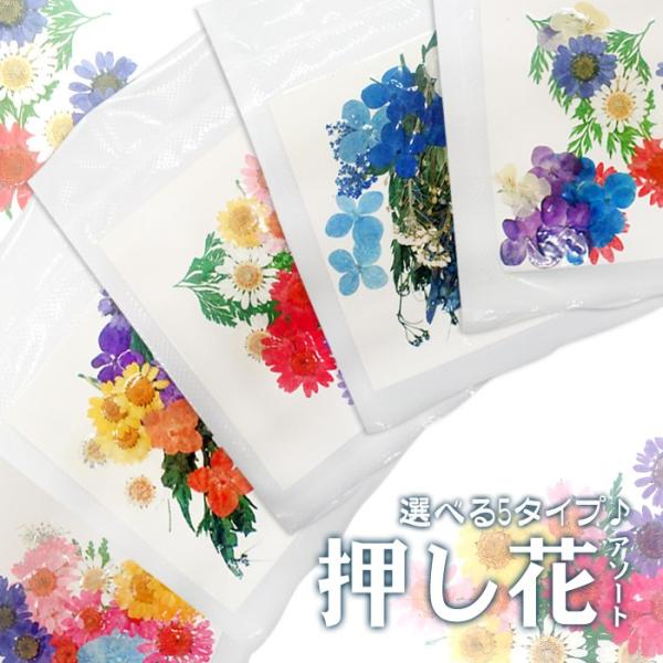押し花 (1) アソート 5タイプ ドライフラワー 花材 レジン 押し花 (1) アソート 5タイプ ドライフラワー 花材 レジン