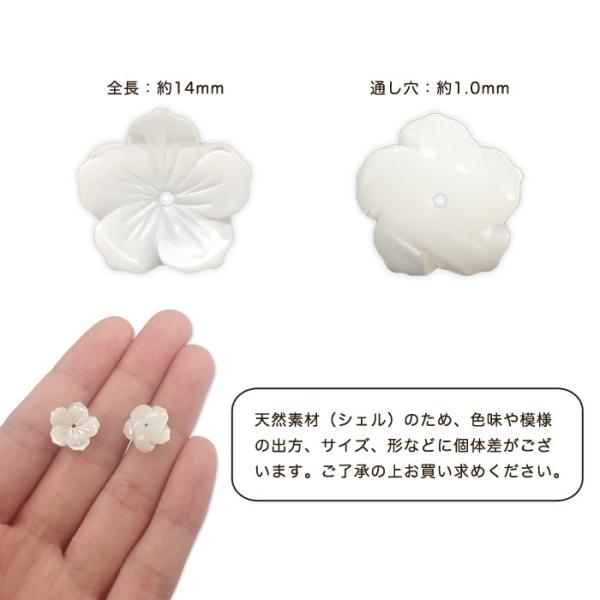 partsworldjp_parts-shell38_1
