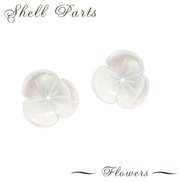 VFp[c t[ 41. 1 L VR r[Y  t[ p[c ANZT[p[c nhCh 