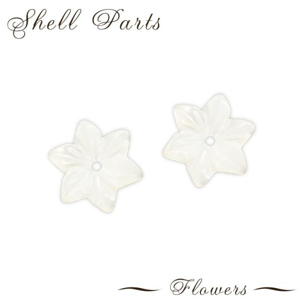 VFp[c t[ 43. 1 L VR r[Y  t[ p[c ANZT[p[c nhCh 