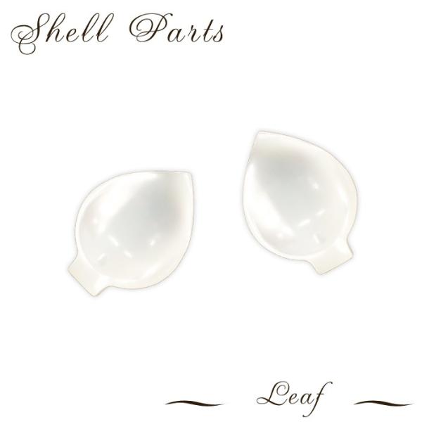 VFp[c [t 45.t 1 L VR r[Y t [t p[c ANZT[p[c nhCh 