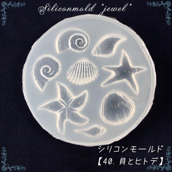 VR[h (40) Lƃqgf 1  sea qgf NA ~[M W [h nhCh UVCgΉ 