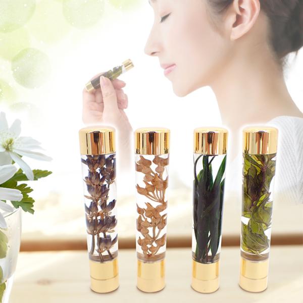 n[oE A}X^v (5) i {^jJ i A} A}fBt[U[ }XN A}IC q X^v ̓ a 