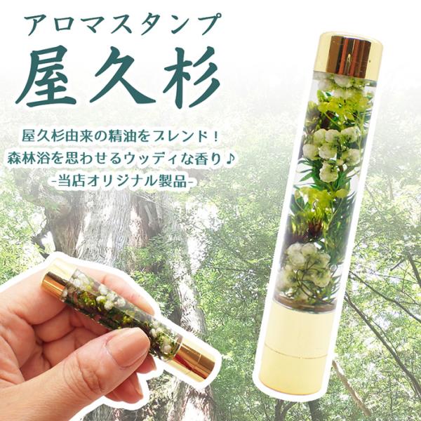 n[oE A}X^v i v i A} A}fBt[U[ }XN A}IC q X^v 