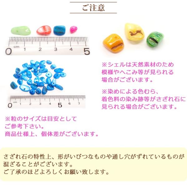 カラフル シェル さざれ石 穴あり 10g 天然石 貝 マリン パーツ