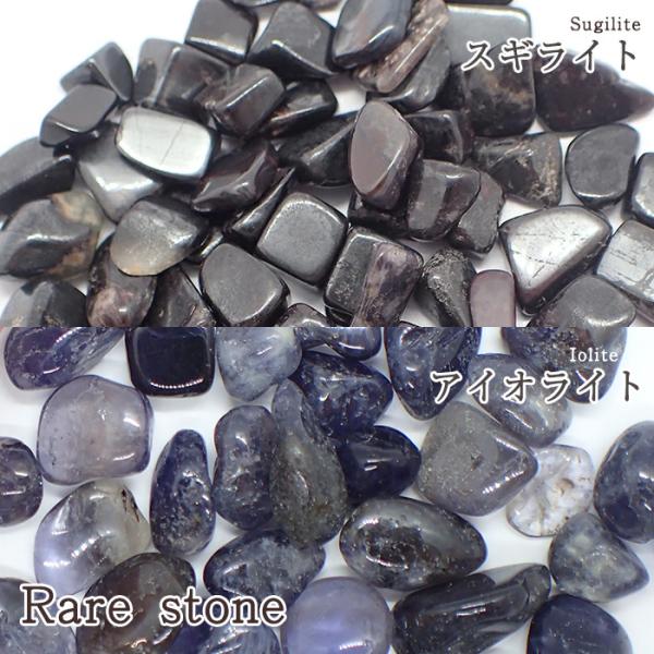 XMCg ACICg AXg[ A 24 (Ȃ) 100g VR p[Xg[  p[c nhCh ΏۊO |Cgp