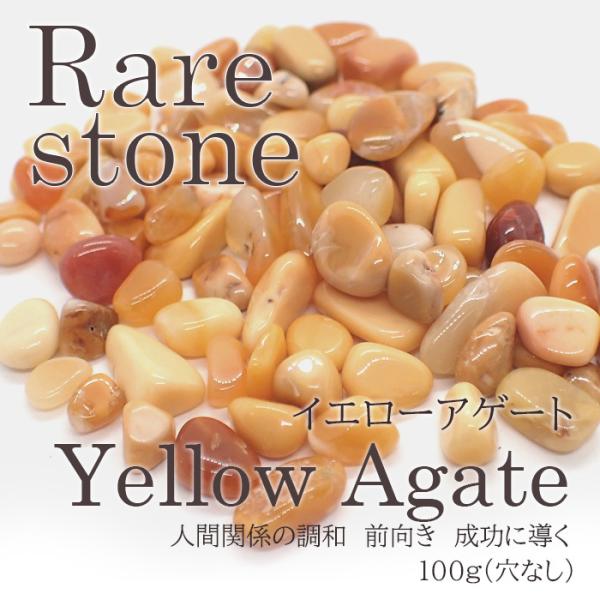 2021V CG[AQ[g AXg[ A 66 (Ȃ) 100g VR  p[c nhCh ΏۊO |Cgp