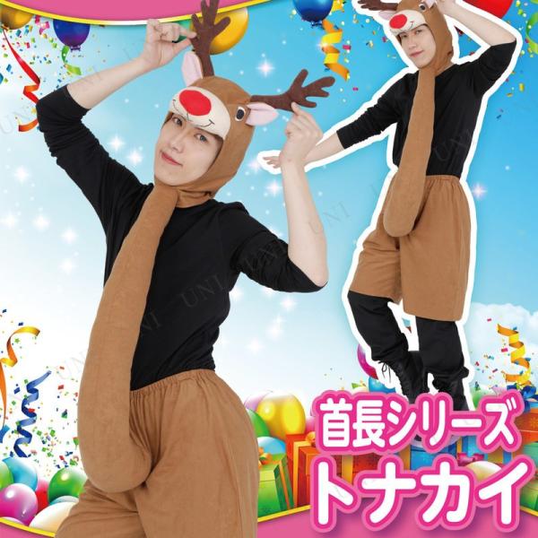 giJC@RXv Aj}  NX}X lp p fB[X  giJCߑ  Patymo ̒`giJC