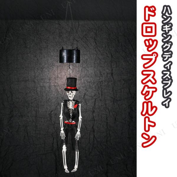 XJ hN nEB G | KCRc [ u z[nMO ݕ ݂蕨 52cmnMOhbvAbvXPg