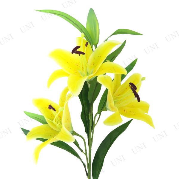 2_Zbg 105cmXv[S̉ CG[ }(΂) lHϗtA ֑}