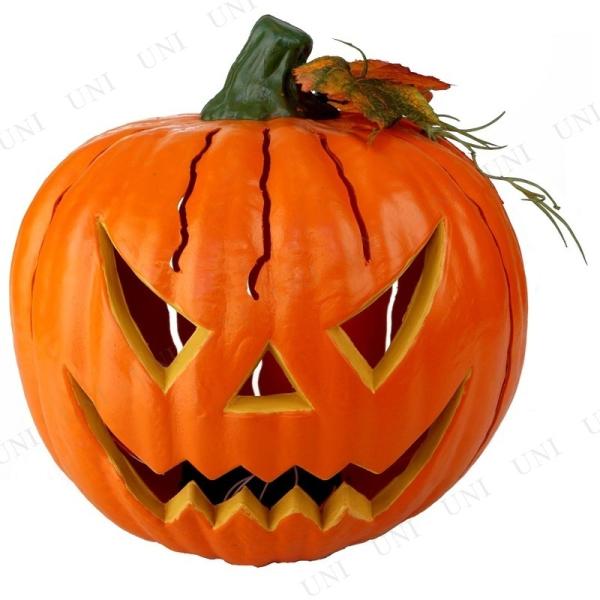 nEB G ڂ J{` Z WbNI[^  i CeA 25cm tbVpvL^ S