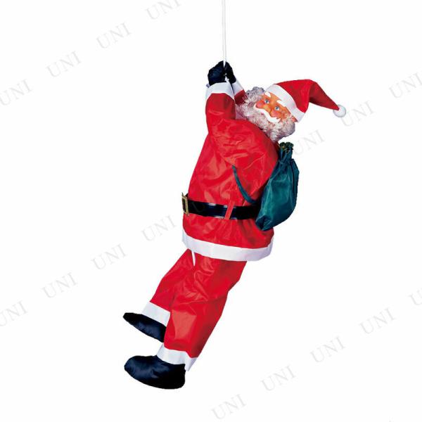 NX}Xp[eB[ p[eB[ObY G NX}X  fR[V u l` 120cm m[}NC~OT^