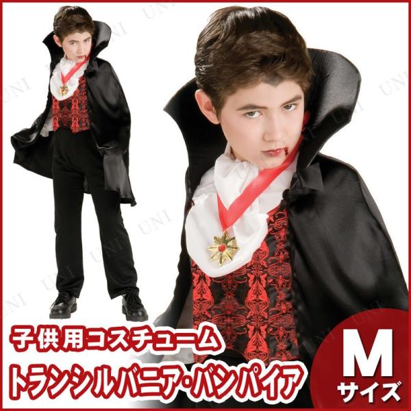 RXv  ߑ nEB RX`[ q LbY ǂ p[eB[ObY zS qǂpgXojA@pCAM