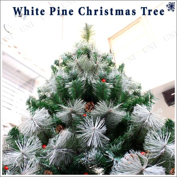 NX}Xc[   k[hc[ zCgc[   210cmNX}Xc[(zCgpC/ڂ聕؂̎)