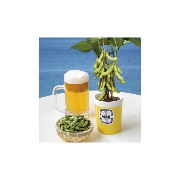 えだまめ栽培セット 家庭菜園 野菜 栽培キット インテリア用品 室内園芸 キッチン菜園 Buyee Buyee Japanese Proxy Service Buy From Japan Bot Online