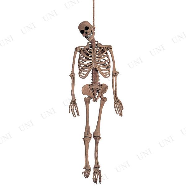 【デカすぎ！】ガイコツ　ハロウィン　人体模型　骨　ハロウィン　150cm デカすぎ！】ガイコツ ハロウィン 人体模型 骨 ハロウィン 150cm