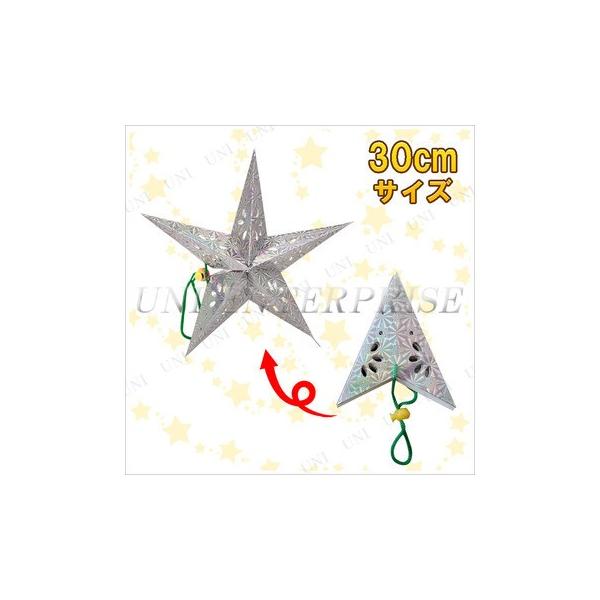 NX}Xp[eB[ p[eB[ObY G NX}X  EH[fR Ǌ| 30cm^y[p[Ntg Vo[