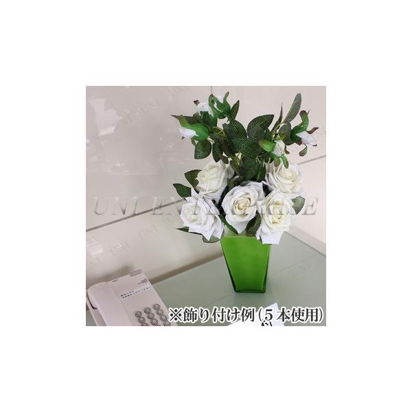 5_Zbg ԃo Xv[zCg ڂݕt