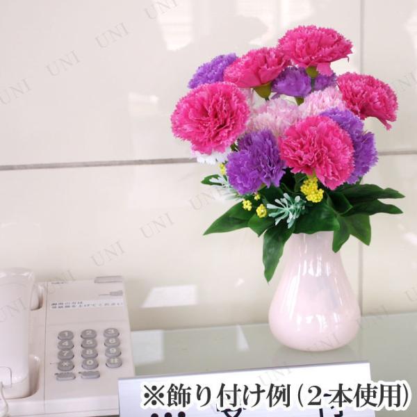 J[l[V ̓ ̓J[l[V 5_Zbg J[l[Vu[P p[v~bNX