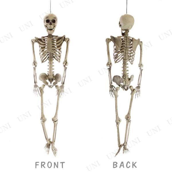 XJ hN nEB G | KCRc [ u z[nMO ݕ ݂蕨 ݂艺 160cmgXPg