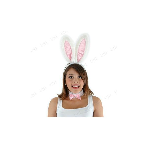 RXv  ߑ nEB Aj}  oj[K[ v` ϑObY p[eB[ObY  L[goj[Lbg