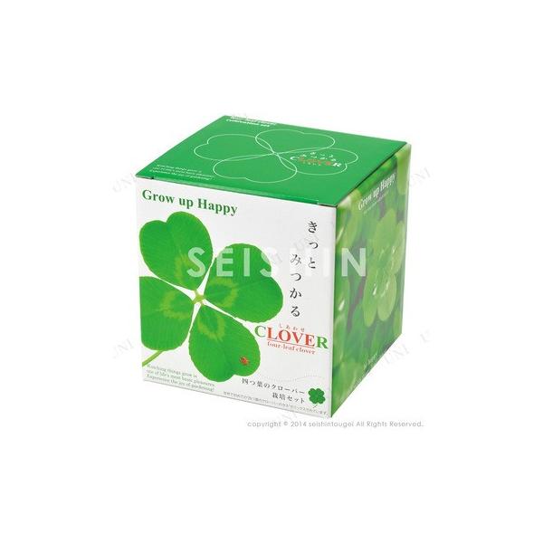 Ƃ݂lt̃N[o[͔|Zbg