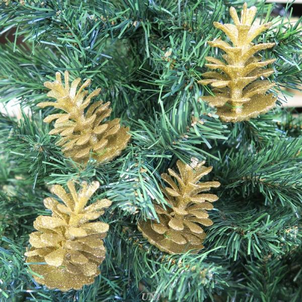 NX}X@c[@I[ig NX}Xp[eB[ p[eB[ObY G NX}Xc[  S[h 4P