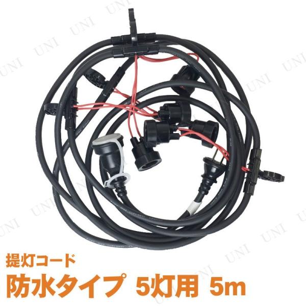 񓔃R[hh^Cv 5p 5m sb`1m