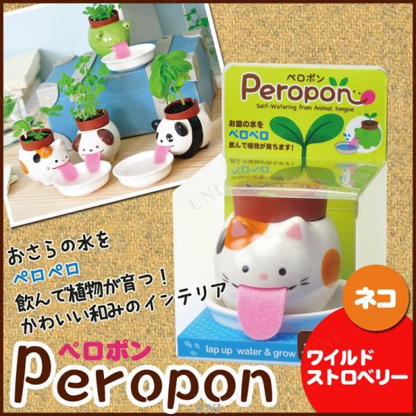 取寄品 栽培キット ペロポン ネコ ワイルドストロベリー インテリア用品 室内園芸 栽培セット ハーブ Buyee Buyee Japanese Proxy Service Buy From Japan Bot Online