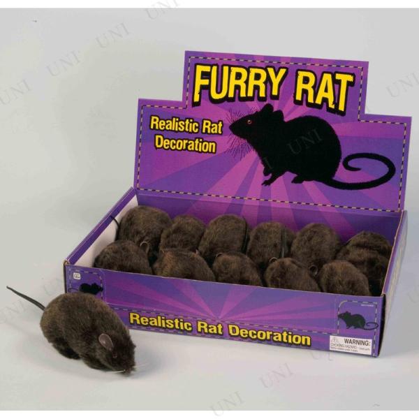 p[eB[ObY  Aj} u hbL p[eB[pi Cxgpi W[NObY ObY ubNbg