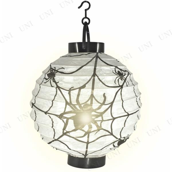 CeA G EH[fR Ǌ| i fR[V C~l[V d Cg  nEB XpC_[