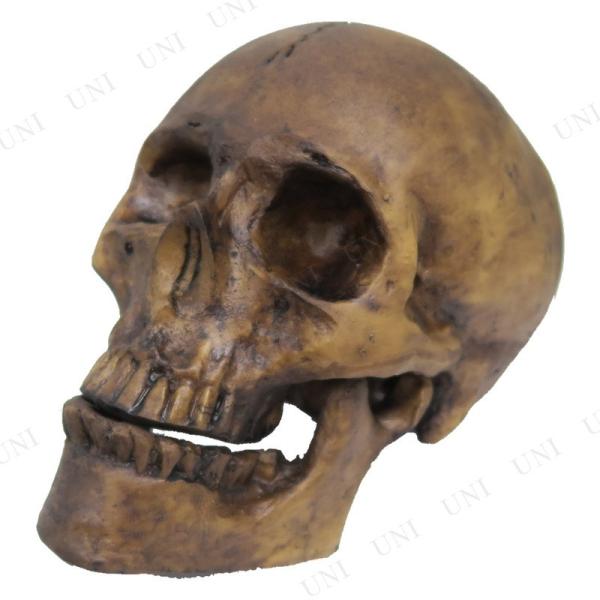 XJ hN nEB G | KCRc [ XPg u z[fBXvC AW (fBXvCop)