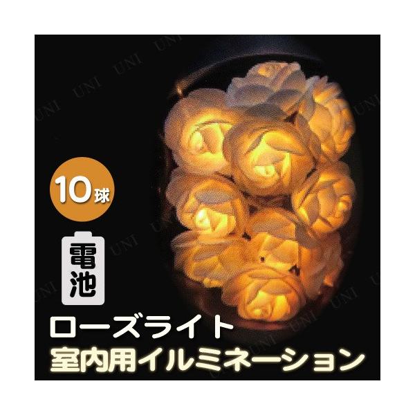  C~l[VCg NX}Xp[eB[ p[eB[ObY G NX}X  d dr[YCg10