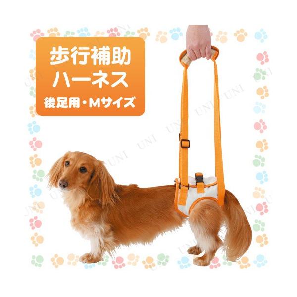 yeBI zuttones⏕n[lX㑫pM