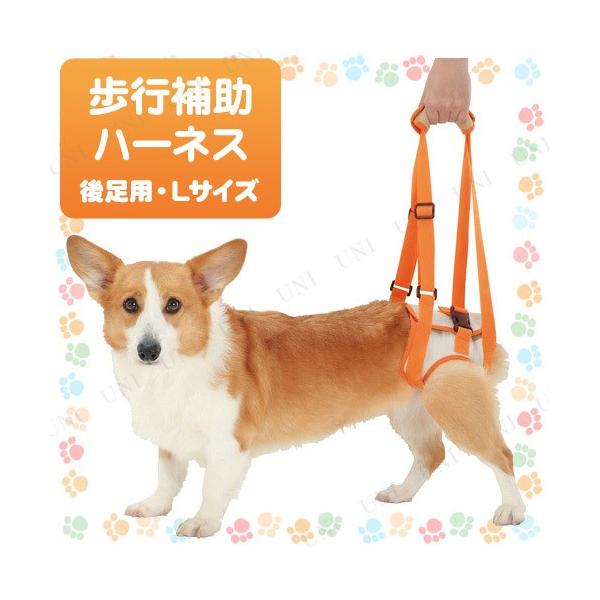 yeBI zuttones⏕n[lX㑫pL